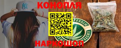 прущие грибы Донецк