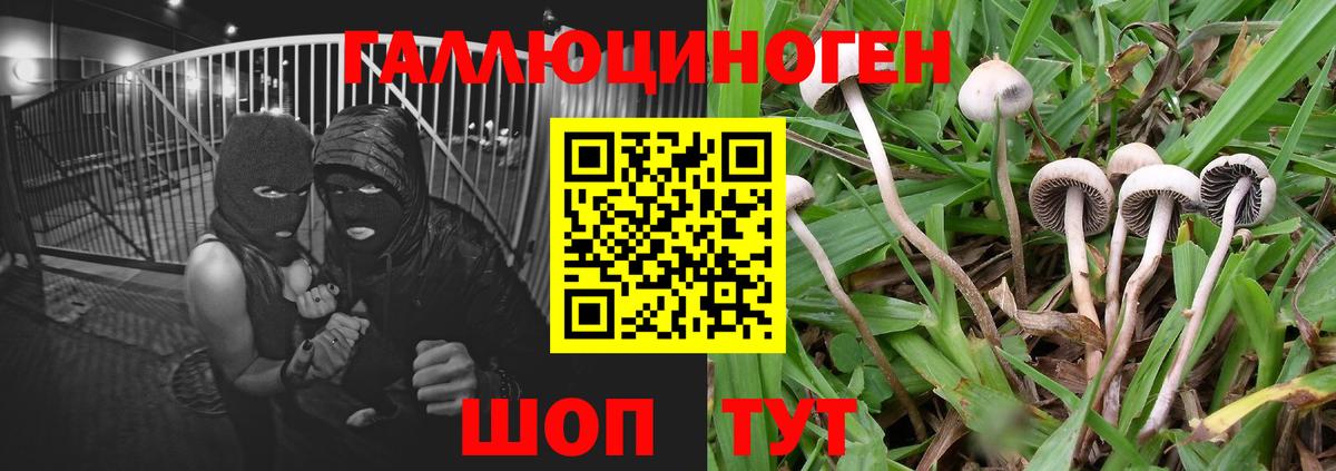 наркошоп  Псилоцибиновые грибы Cubensis  Вход с VPN  Междуреченск 